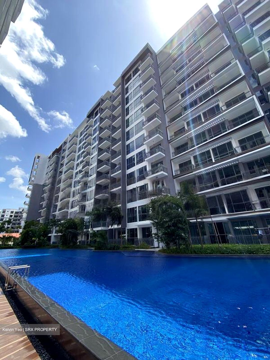 Forest Woods (D19), Condominium #481747291